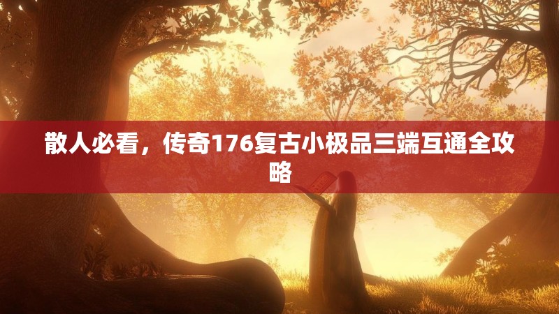 散人必看,传奇176复古小极品三端互通全攻略