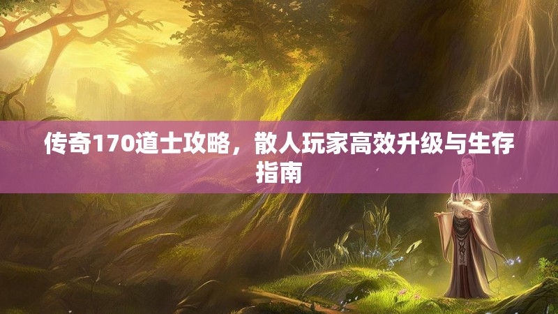 传奇170道士攻略,散人玩家高效升级与生存指南