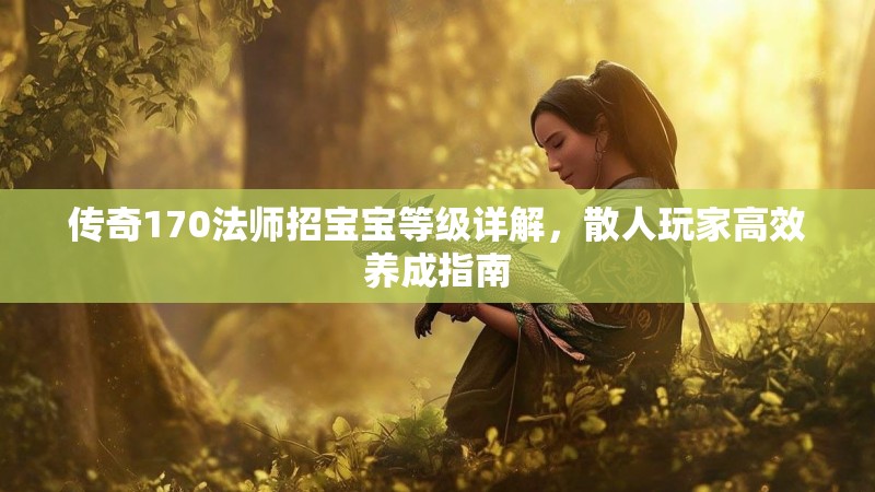 传奇170法师招宝宝等级详解，散人玩家高效养成指南