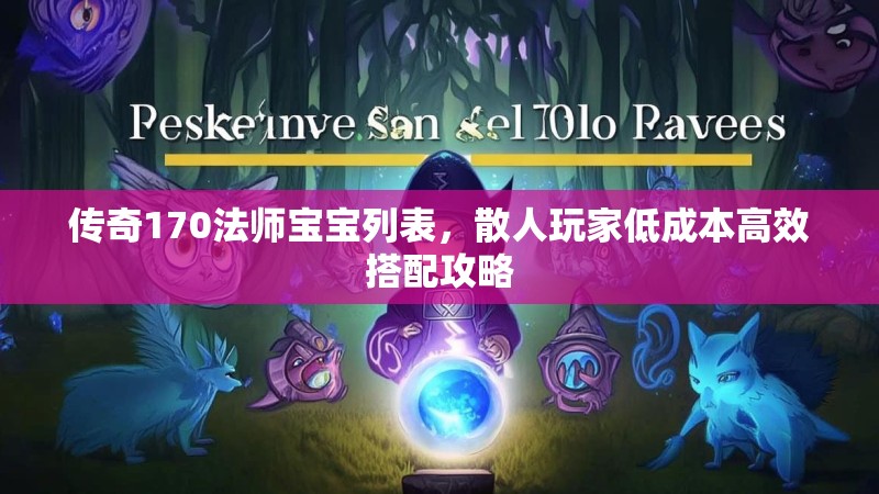 传奇170法师宝宝列表,散人玩家低成本高效搭配攻略