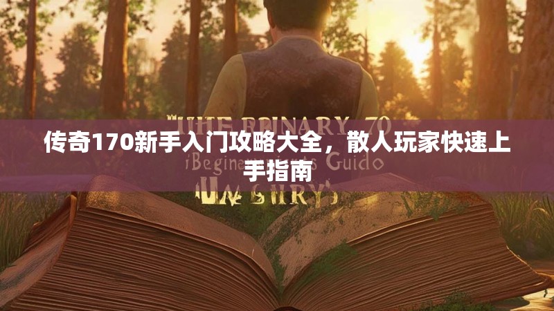 传奇170新手入门攻略大全,散人玩家快速上手指南
