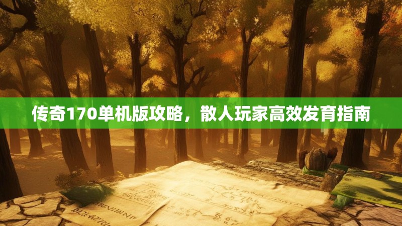 传奇170单机版攻略,散人玩家高效发育指南