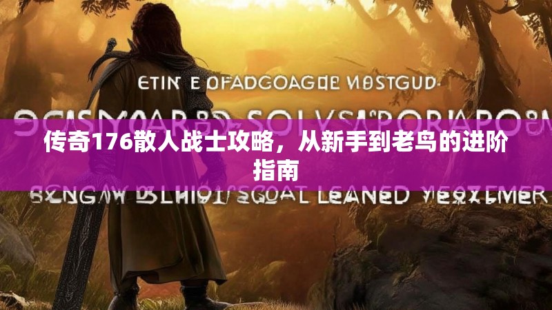 传奇176散人战士攻略，从新手到老鸟的进阶指南