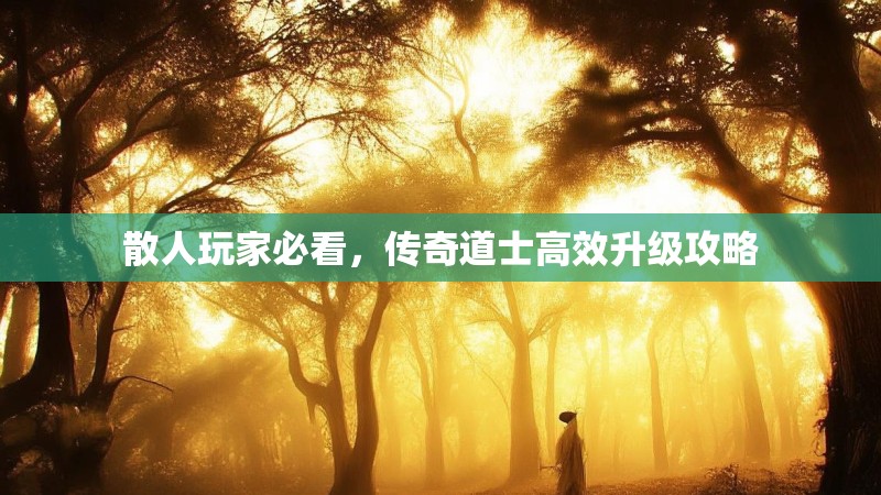 散人玩家必看，传奇道士高效升级攻略