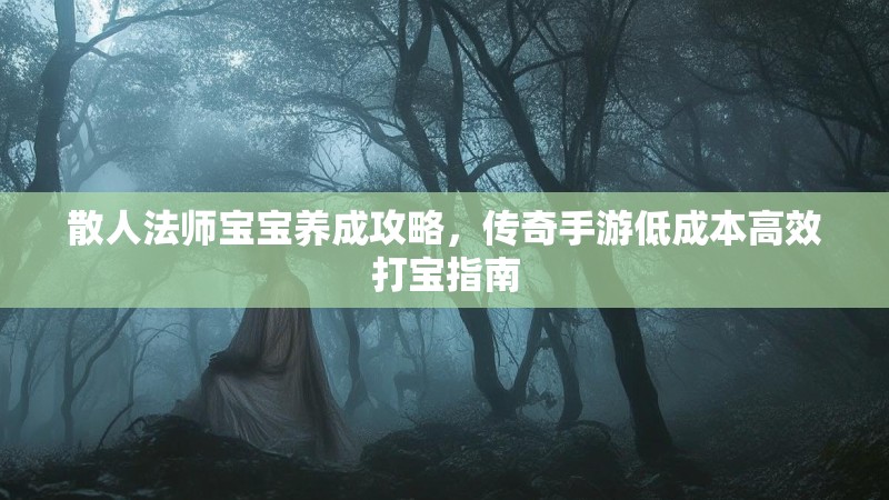 散人法师宝宝养成攻略,传奇手游低成本高效打宝指南