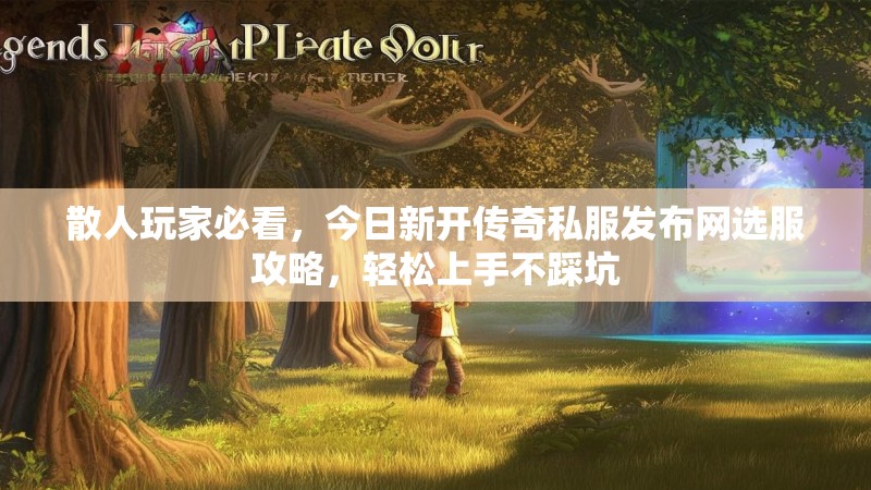 散人玩家必看,今日新开传奇私服发布网选服攻略,轻松上手不踩坑
