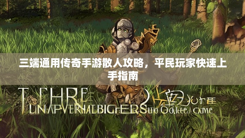 三端通用传奇手游散人攻略,平民玩家快速上手指南