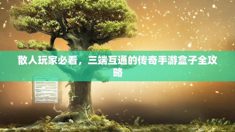 散人玩家必看,三端互通的传奇手游盒子全攻略