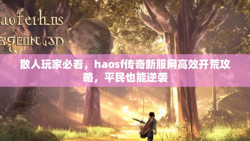 散人玩家必看,haosf传奇新服网高效开荒攻略,平民也能逆袭