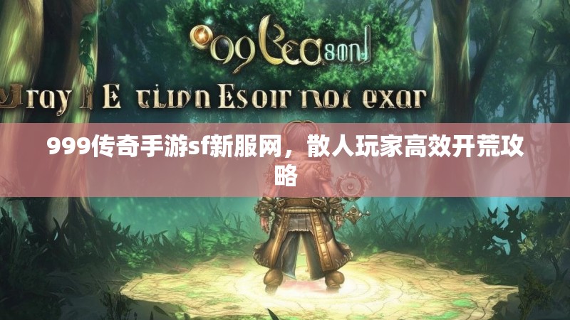 999传奇手游sf新服网,散人玩家高效开荒攻略