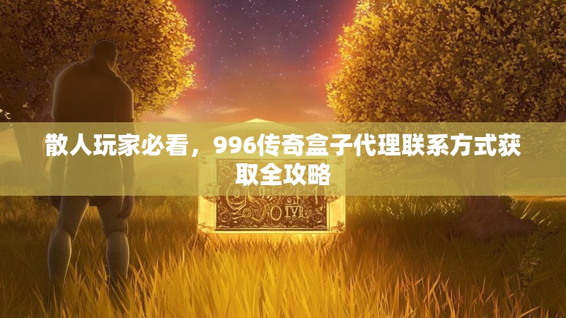 散人玩家必看，996传奇盒子代理联系方式获取全攻略