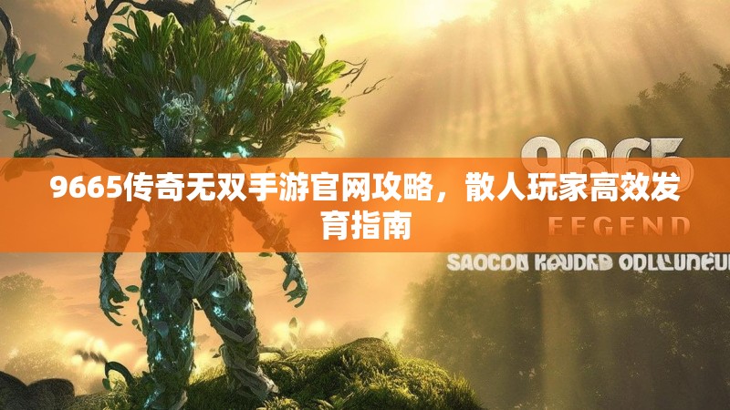 9665传奇无双手游官网攻略，散人玩家高效发育指南