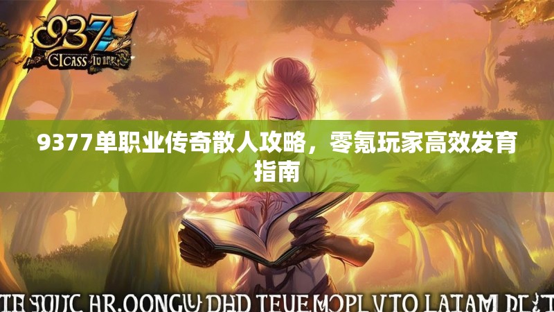 9377单职业传奇散人攻略,零氪玩家高效发育指南