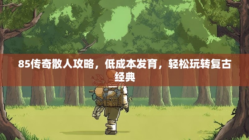 85传奇散人攻略,低成本发育,轻松玩转复古经典