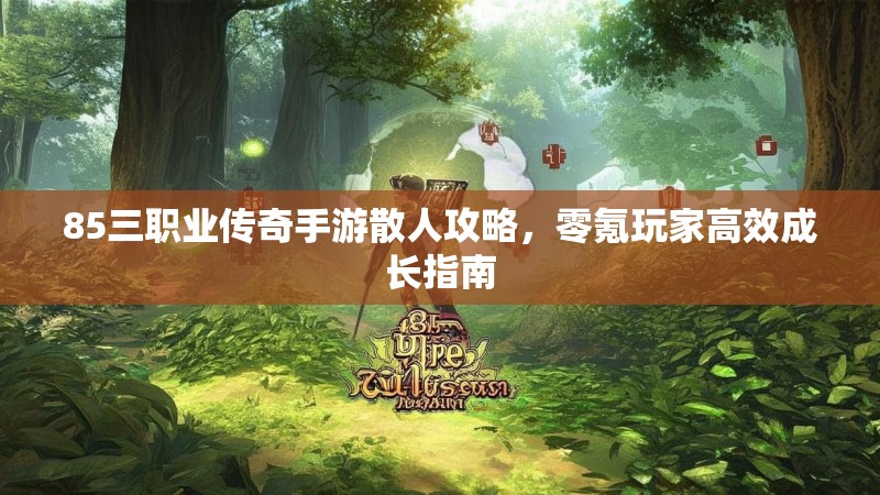 85三职业传奇手游散人攻略,零氪玩家高效成长指南