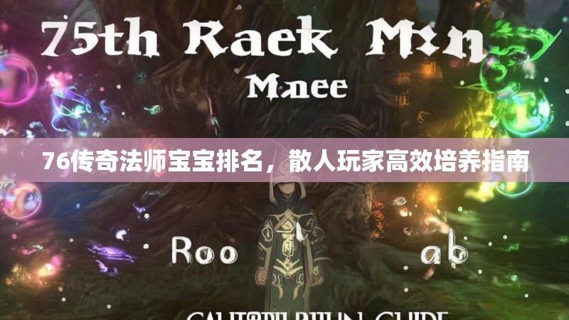 76传奇法师宝宝排名,散人玩家高效培养指南
