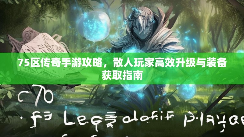 75区传奇手游攻略,散人玩家高效升级与装备获取指南