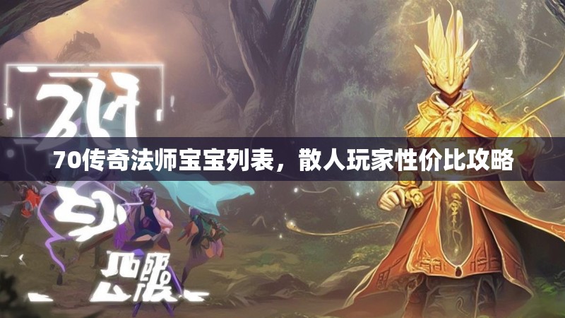 70传奇法师宝宝列表,散人玩家性价比攻略