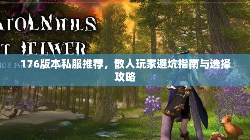 176版本私服推荐,散人玩家避坑指南与选择攻略