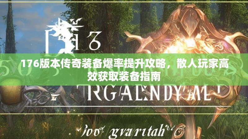 176版本传奇装备爆率提升攻略,散人玩家高效获取装备指南