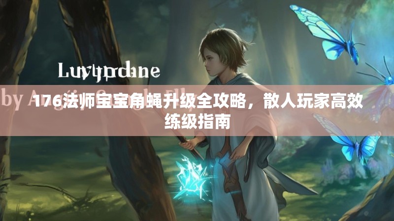 176法师宝宝角蝇升级全攻略,散人玩家高效练级指南