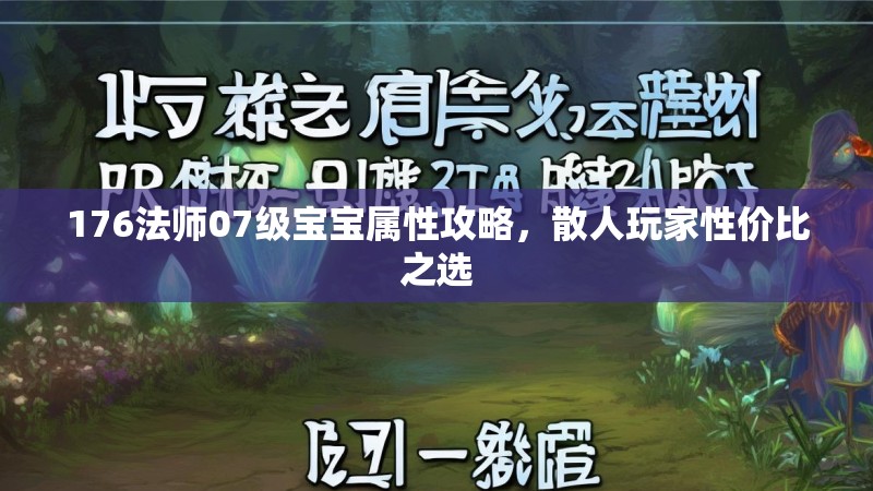 176法师07级宝宝属性攻略,散人玩家性价比之选