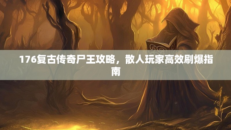176复古传奇尸王攻略，散人玩家高效刷爆指南