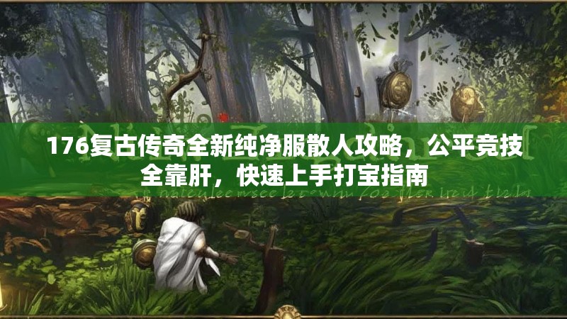 176复古传奇全新纯净服散人攻略，公平竞技全靠肝，快速上手打宝指南
