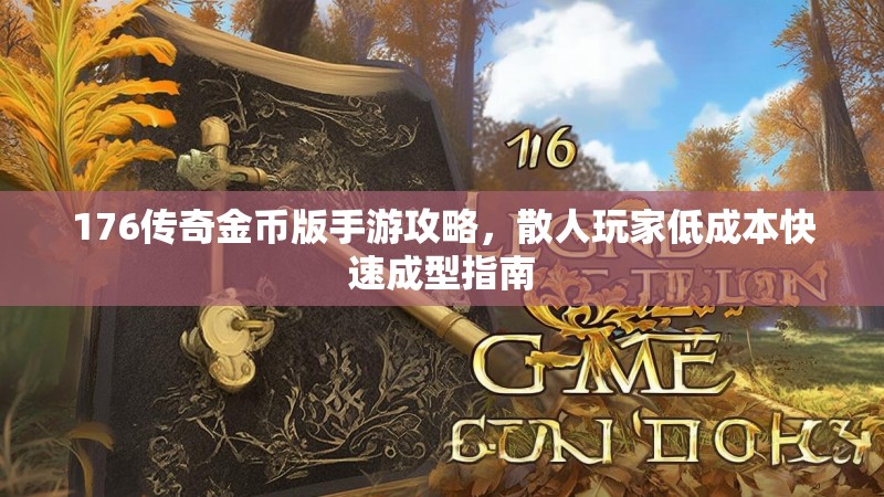 176传奇金币版手游攻略,散人玩家低成本快速成型指南