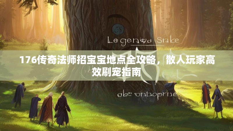 176传奇法师招宝宝地点全攻略,散人玩家高效刷宠指南