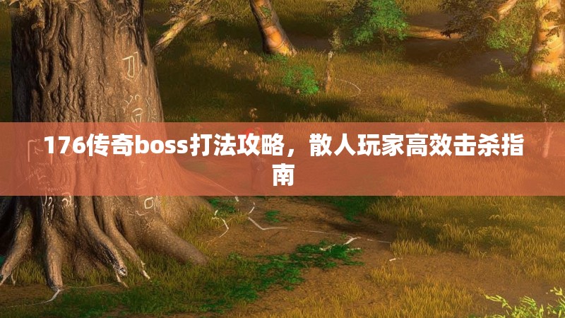 176传奇boss打法攻略,散人玩家高效击杀指南