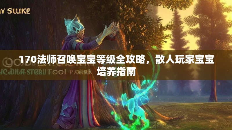170法师召唤宝宝等级全攻略，散人玩家宝宝培养指南