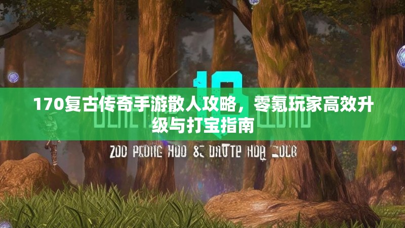 170复古传奇手游散人攻略,零氪玩家高效升级与打宝指南