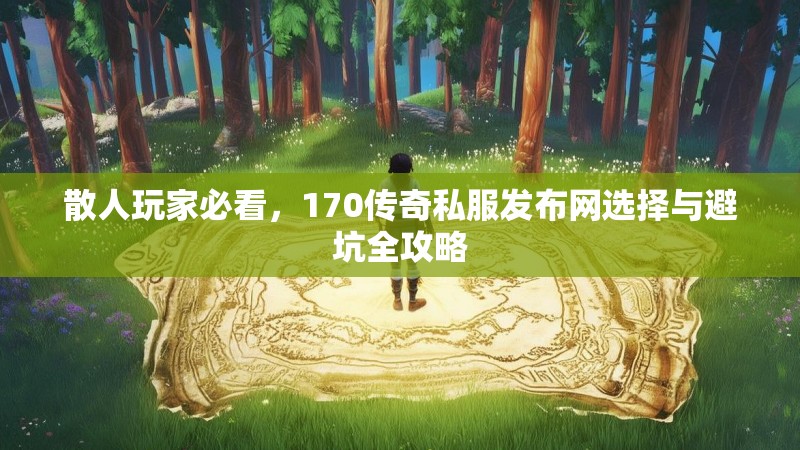 散人玩家必看,170传奇私服发布网选择与避坑全攻略