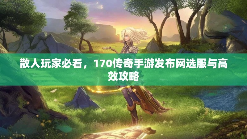 散人玩家必看,170传奇手游发布网选服与高效攻略