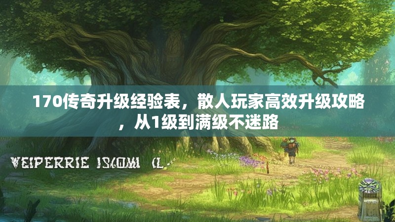 170传奇升级经验表,散人玩家高效升级攻略,从1级到满级不迷路