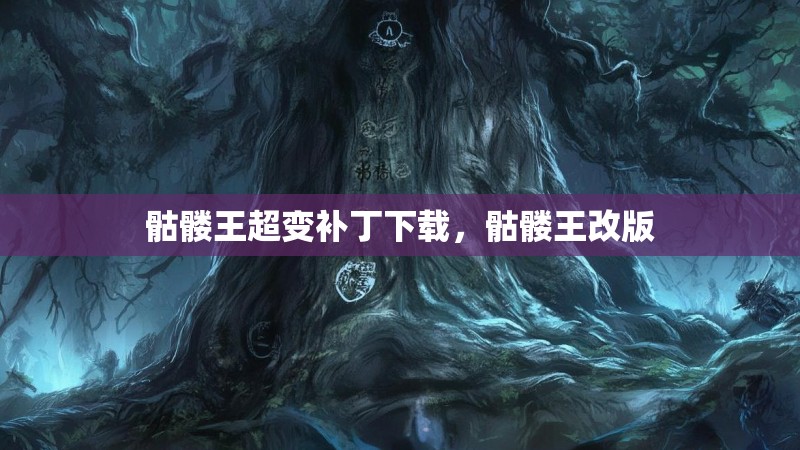 骷髅王超变补丁下载,骷髅王改版