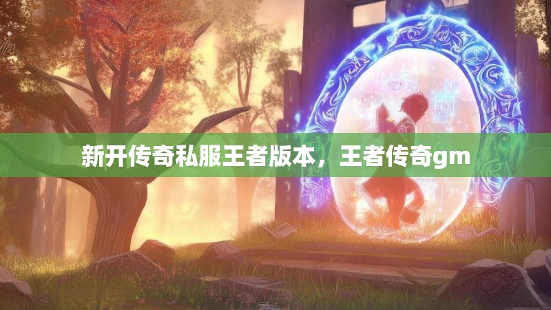 新开传奇私服王者版本,王者传奇gm