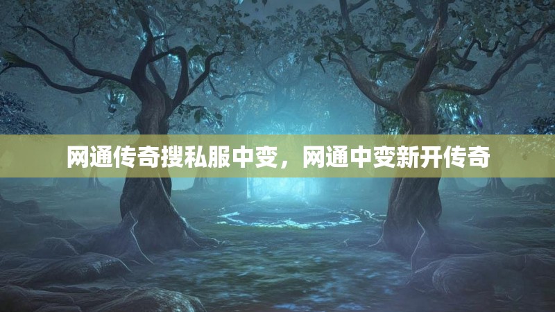 网通传奇搜私服中变,网通中变新开传奇