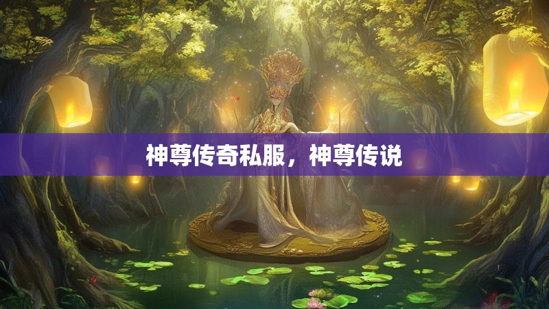神尊传奇私服,神尊传说