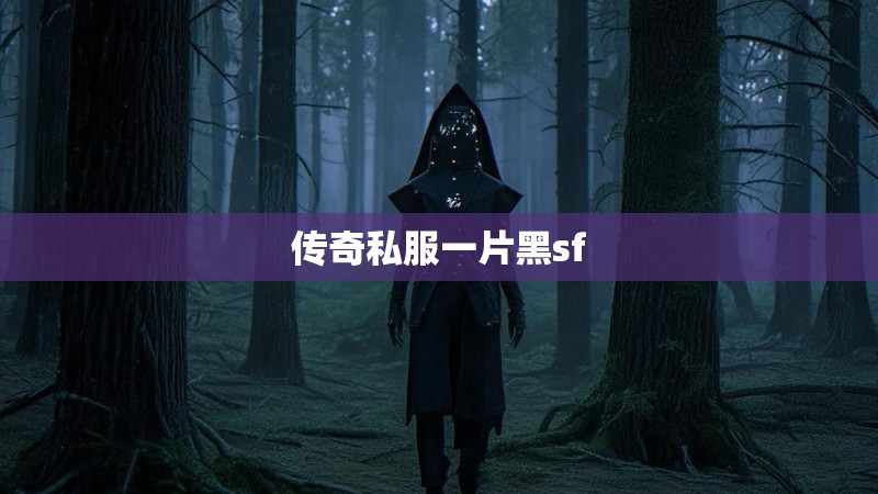 传奇私服一片黑sf