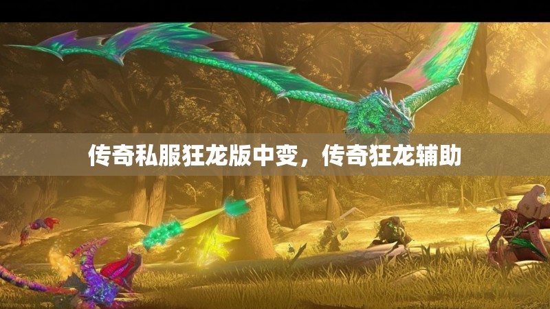 传奇私服狂龙版中变,传奇狂龙辅助