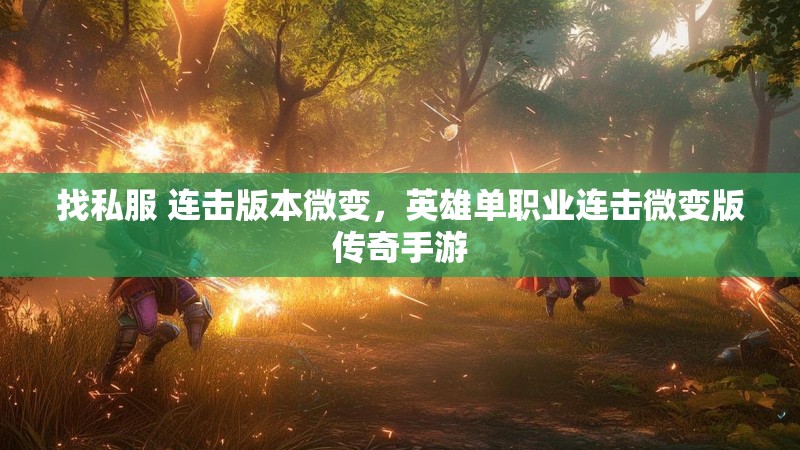 找私服 连击版本微变,英雄单职业连击微变版传奇手游