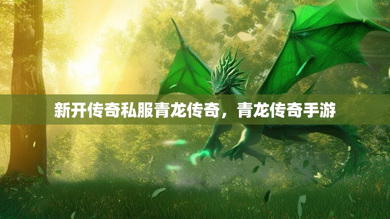 新开传奇私服青龙传奇，青龙传奇手游