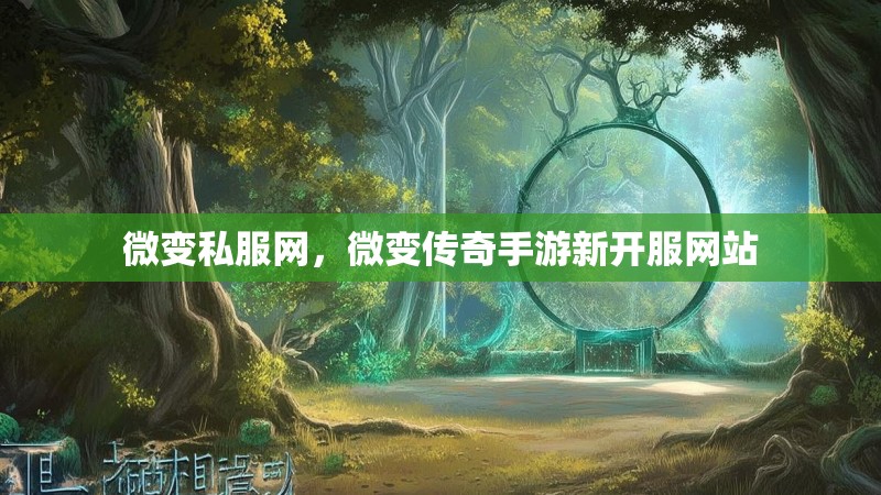 微变私服网,微变传奇手游新开服网站