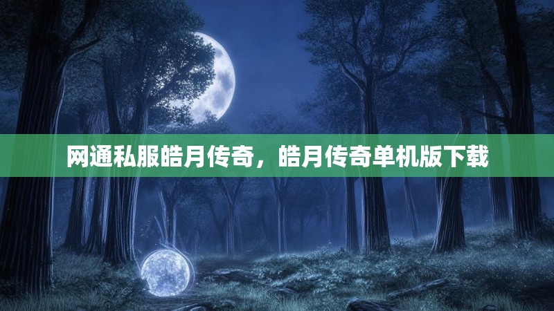 网通私服皓月传奇,皓月传奇单机版下载